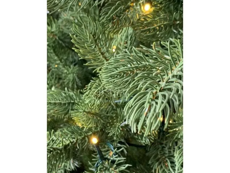 Botanic-Haus Weihnachtsbaum De Luxe 144 LEDs Easy Shape 90 cm