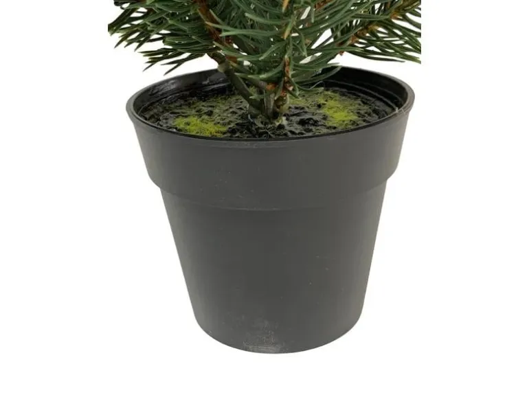Botanic-Haus Weihnachtsbaum Tannenbaum im Topf, 41 cm