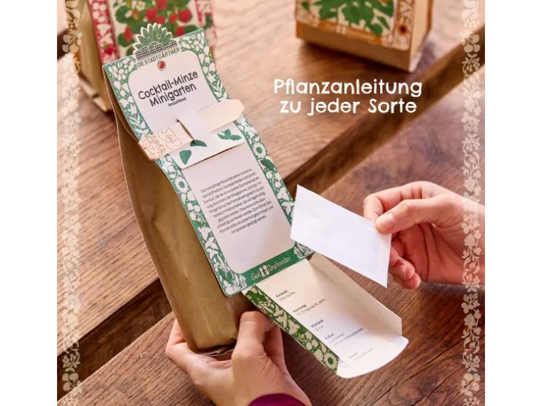 Die Stadtgärtner Anzuchtset Bienenbaum