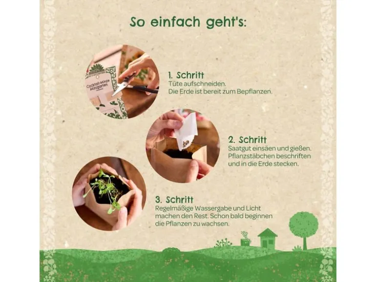 Die Stadtgärtner Anzuchtset Lavendel