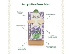 Die Stadtgärtner Anzuchtset Lavendel