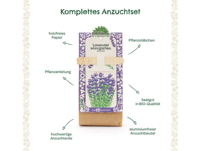 Die Stadtgärtner Anzuchtset Lavendel