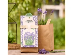 Die Stadtgärtner Anzuchtset Lavendel