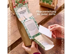 Die Stadtgärtner Anzuchtset Wildtomate