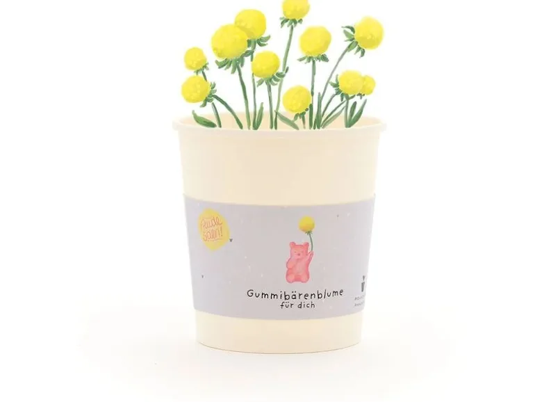 Die Stadtgärtner Blütengruss Gummibärenblume