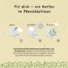 Die Stadtgärtner Pflanzenkästchen «Du bist unentbeerlich»