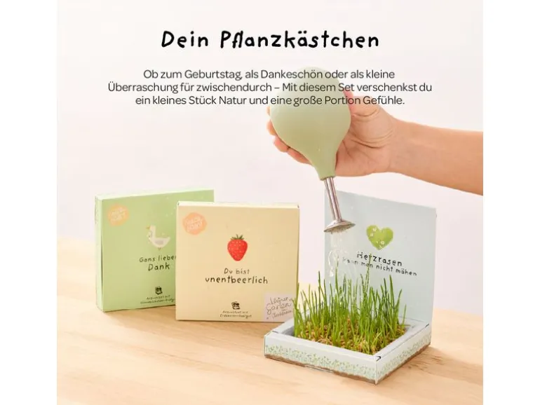 Die Stadtgärtner Pflanzenkästchen «Gans lieben Dank»