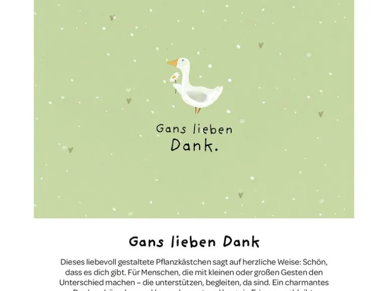 Die Stadtgärtner Pflanzenkästchen «Gans lieben Dank»