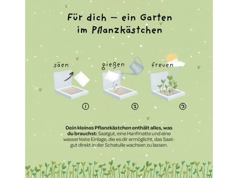 Die Stadtgärtner Pflanzenkästchen «Gans lieben Dank»