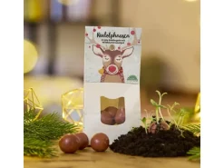 Die Stadtgärtner Rudolphnasen Blumenmurmeln Rot, Wildblumenmischung