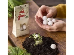 Die Stadtgärtner Schneemannbäuche Weiss, 19 Wildblumensamen