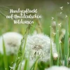 Die Stadtgärtner Wunscherfüller klein Pusteblume Natur