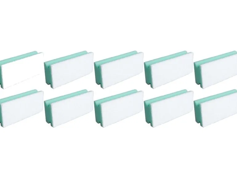 Edi Baur Schwamm Basic 10 Stück, Grün/Weiss