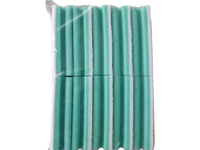 Edi Baur Schwamm Basic 10 Stück, Grün/Weiss