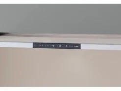Electrolux Flachschirmhaube DASL5550CN 4 Stufen