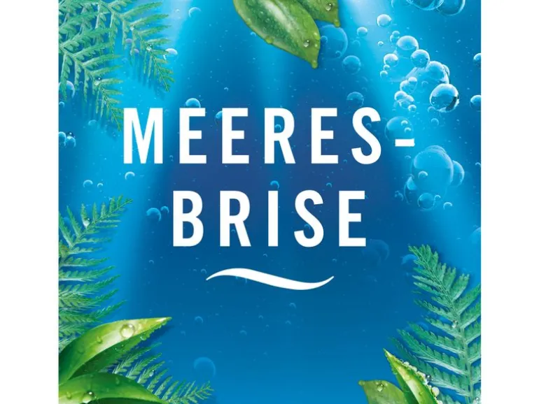 Febreze Lufterfrischer Spray Lenor Meeresbrise