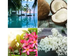 Glade Duftstecker Nachfüller Exotic Tropical Blossom 20 ml