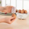 GOURMETmaxx Eierkocher 7 Eier, Weiss