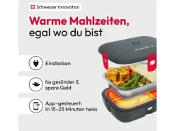HeatsBox Lunchbox Style+ Grau