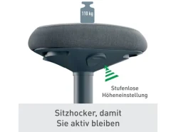 Leitz Ergo Active Sitzhocker Dunkelgrau