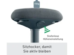 Leitz Ergo Active Sitzhocker Dunkelgrau