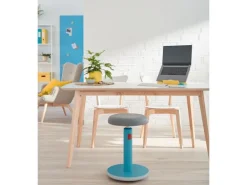 Leitz Ergo Cosy Active Sitz und Stehhocker Blau