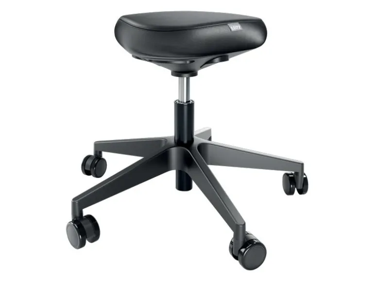 Leitz Ergonomischer Sitzhocker mit Rollen