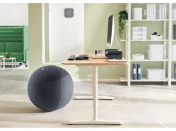 Leitz Sitzball Ergo Active 65 cm, Dunkelgrau