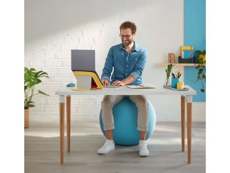 Leitz Sitzball Ergo Cosy Active Grau