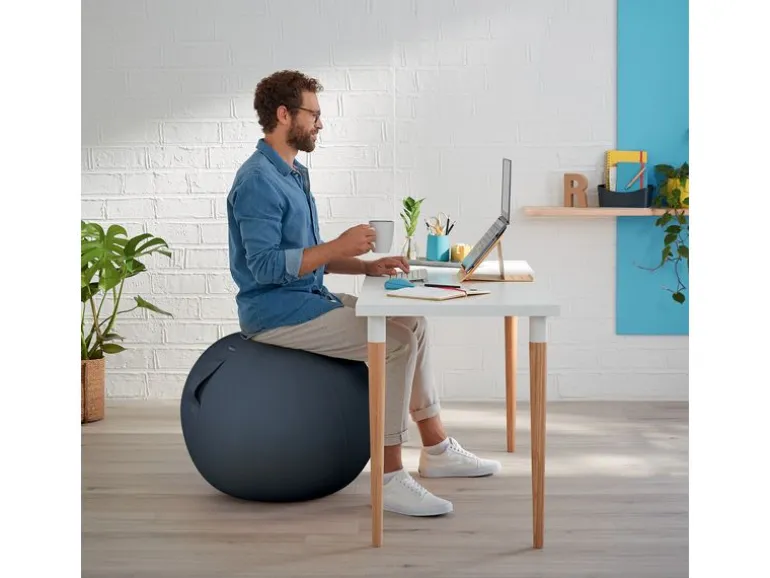 Leitz Sitzball Ergo Cosy Active Grau