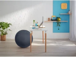 Leitz Sitzball Ergo Cosy Active Grau
