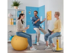 Leitz Sitzball Ergo Cosy Active Grau
