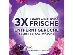 Lenor Waschmittel Kapseln All-in-1 Pods Blütentraum 100 Stück