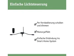 Paulmann Controller Plug & Shine mit Fernbedienung