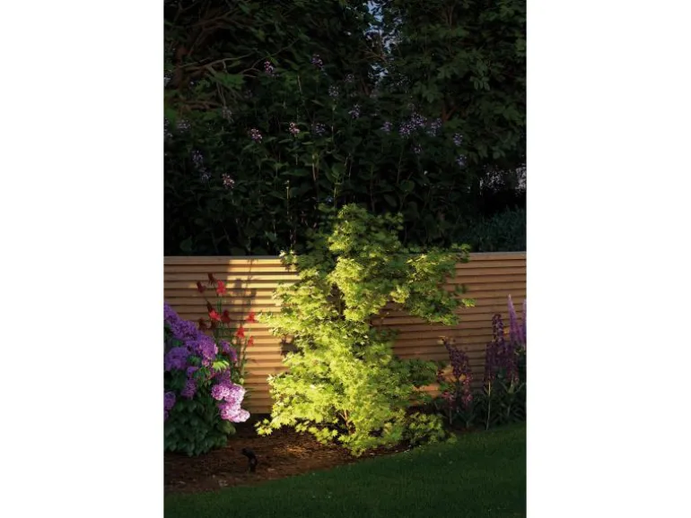 Paulmann Gartenspot Plug & Shine Sting 100° Erweiterung