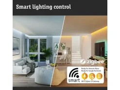 Paulmann LED Pendelleuchte Smart Home Zigbee, Schwarz