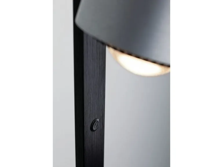 Paulmann Stehleuchte LED Aldan