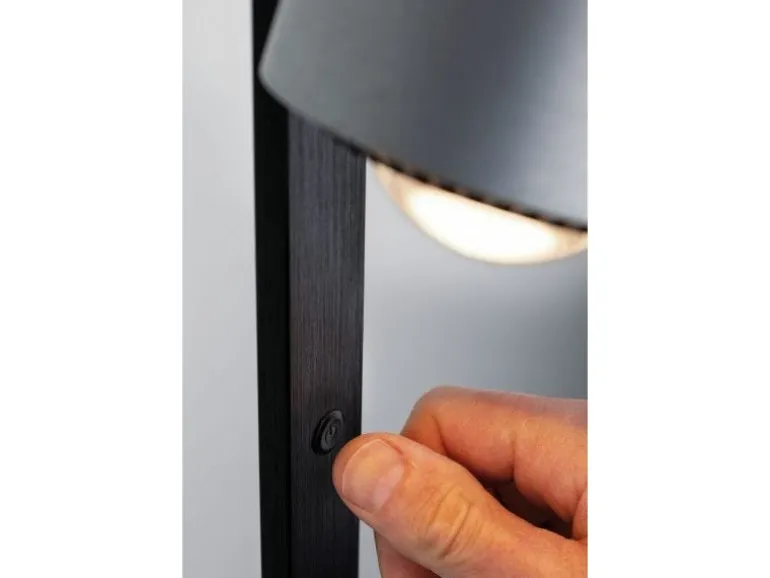 Paulmann Stehleuchte LED Aldan
