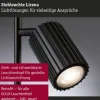 Paulmann Stehleuchte Lirena 1575 mm max. 2 x 7W Schwarz matt