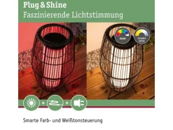 Paulmann Stehleuchte Plug & Shine Basket, RGBW, 3.2W, Schwarz