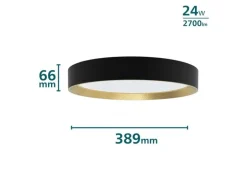Philips Deckenleuchte Hanno SceneSwitch 2700K, 2700 Lm, Schwarz-Gold