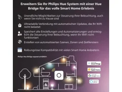 Philips Hue Festavia Lichterkette 40 m 500 LEDs CH