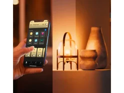Philips Hue Leuchtmittel White & Col. Amb. E27 Doppelpack 2x 1100 lm