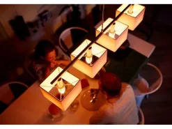 Philips Hue Leuchtmittel White & Col. Amb. E14 Kerze Doppelpack 470 lm