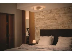 Philips Hue White Amb. Being Deckenleuchte silber 2400 lm + Dimmer