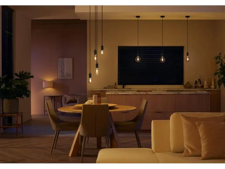 Philips Hue White Ambiance E27 Einzelpack Globe G93 Filament 550 lm