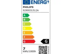 Philips Hue White & Color Ambiance Lightguide G125, E27