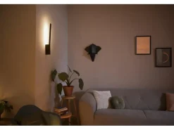 Philips Hue White & Color Ambiance Liane Wandleuchte Schwarz