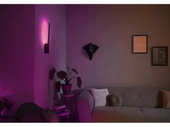 Philips Hue White & Color Ambiance Liane Wandleuchte Schwarz