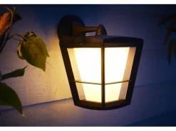 Philips Hue White & Color Ambiance Econic Outdoor Wandl. Hängend Schwarz